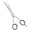 Barber Hair Scissors Cutting & Thinning Scissors Kit Straight Edge Razor Comb with Black Storage Case With Free Blades (Blue Razor 6.5 Inch) view 4