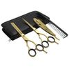 Barber Hair Scissors Cutting & Thinning Scissors Kit Straight Edge Razor Comb with Black Storage Case With Free Blades (Gold 6.5 Inch) view 1