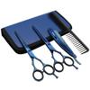 Barber Hair Scissors Cutting & Thinning Scissors Kit Straight Edge Razor Comb with Black Storage Case With Free Blades (Blue 6 Inch) view 1