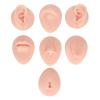 YUYTE Silicone Piercing Body Model, Piercing Body Part Model with Display Rack, Soft Silicone Ear Mouth Nose Eye Tongue Navel Model for Piercing Practice (Light Skin Colour) view 4