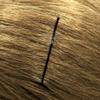 Amelia Beauty Large Bobby Pin Waved | Hair Styling Accessories Hair Pins - for all Hair Types | 300 Gram in Clear Container | Made in Italy - Black view 4