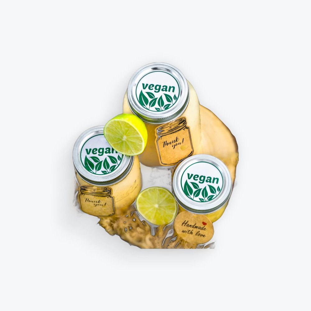 R3DREBEL ORGANICS SoSincere Sea Moss Gel (Lemon)