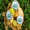 R3DREBEL ORGANICS SoSincere Sea Moss Gel (Lemon) view 3