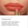 PDL Cosmetics by Patricia De Len | High Powered Lipstick (Tropicana) | Intensely Colored Orange-Red Matte Finish Lipsticks | Long Lasting Hydrating Formula, Creamy Texture for Weightless Coverage | Cruelty-Free | .14 oz view 4
