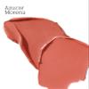 PDL Cosmetics Bold Aspirations Liquid Lipstick (Azucar Morena) | Highly Pigmented Smooth Matte Finish | Caramel Tone | Long Lasting, Non-Transfer, Hydrating Formula | Vegan | Cruelty-Free | .14 fl oz view 2