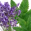 Earth To Skin Hemp Lavender Overnight Gel Mask (4.0 Fl Oz) view 3