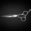 5.75" Professional Hair Cutting Scissors for All Hair Types - Wet or Dry Cutting - Japan VG10 Super Steel For Long Lasting Sharpness view 2