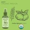 PURA D'OR 4 Oz ORGANIC Amla Oil, 100% Pure USDA Certified Premium Grade, Cold Pressed, Unrefined, Extra Virgin, Hair Serum & Thickening Hair Product w/Pump for Women & Men view 2