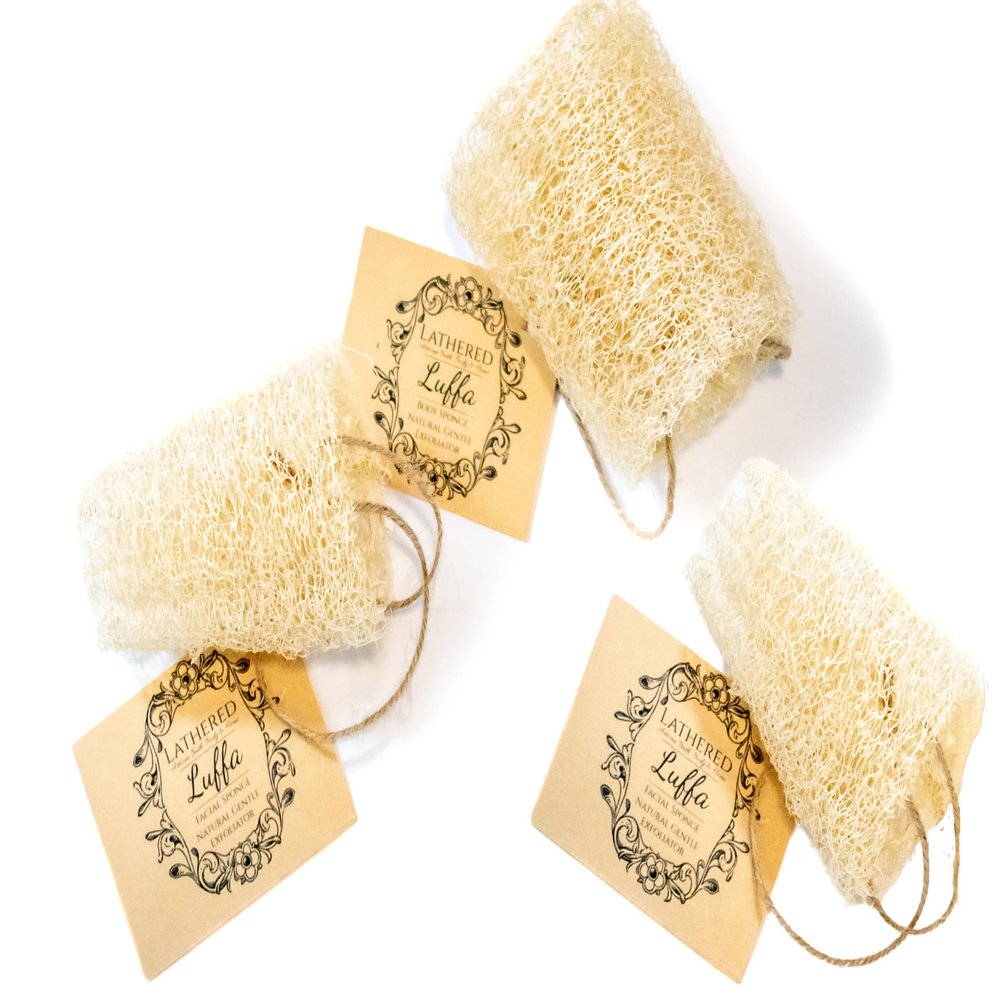 3 Pack Natural Soft Luffa Sponge for Body & Face, Lightly Exfoliating Bath & Shower Loofah by Lathered Artisan (3pk Body Luffa)