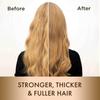 Moehair Combo Pack Of Protein Shampoo (12 Fl Oz) and Color Alive Conditioner (12 Fl Oz) | Color Treated Dry And Damaged Hair Repair Treatment | Color Protecting Formula | Sulfate and Paraben free view 4