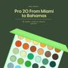 Kara Beauty PRO20 FROM MIAMI TO BAHAMAS 30-Shades Creative Beauty Palette -VEGAN view 2