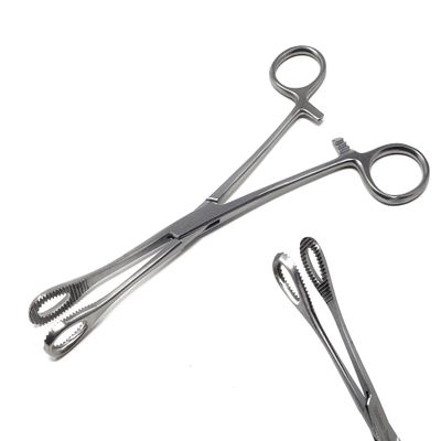 A2ZScilab-Piercing Clamp, Professional Body Piercing Clamp For Ear Lip Navel Nose Tongue Septum Sponge Piercing Tools Body Piercing Pliers Piercing Supplies (Foerster Serrated Forcep - Straight - 7")