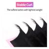 VEYES INC Classic Volume Lash Extensions 0.03-0.20 J/B/L/C/CC/D/DD Curl 5-25mm Mixed & Single Length Tray, Premium Silk Eyelashes, Professional Supplies for Lash Techs(Matte Black 0.03 DD 8-16mm) view 4