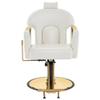 BarberPub Luxurious Classic Barber Chair Hydraulic Pump Recline Beauty Spa Styling Salon for Hair Stylist Equipment 9578 (Champagne) view 3