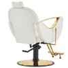 BarberPub Luxurious Classic Barber Chair Hydraulic Pump Recline Beauty Spa Styling Salon for Hair Stylist Equipment 9578 (Champagne) view 4