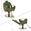 BarberPub Luxurious Classic Barber Chair Hydraulic Pump Recline Beauty Spa Styling Salon for Hair Stylist Equipment 9578 (Green) view 3