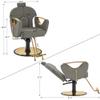 BarberPub Luxurious Classic Barber Chair Hydraulic Pump Recline Beauty Spa Styling Salon for Hair Stylist Equipment 9578 (Grey) view 2