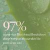 Bliss Blackhead Breakdown - Blackhead Purifying Stick - Extracts Pore Clogging Debris - Formulated with Pink Clay & Salicylic Acid view 4