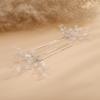 Teyglen 2pcs Crystal Bride Wedding Hair Pins Silver Rhinestones Beads Hair Pins Set Bridal Hair Accessories Gold Black Purple Blue Rhinestones Hair Pieces for Women Girls (Silver) view 4