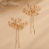 Teyglen 2pcs Crystal Bride Wedding Hair Pins Champagne Rhinestones Beads Hair Pins Set Bridal Hair Accessories Gold Silver Purple Blue Rhinestones Hair Pieces for Women Girls (Champagne) view 1