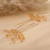 Teyglen 2pcs Crystal Bride Wedding Hair Pins Champagne Rhinestones Beads Hair Pins Set Bridal Hair Accessories Gold Silver Purple Blue Rhinestones Hair Pieces for Women Girls (Champagne) view 4