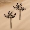 Teyglen 2pcs Crystal Bride Wedding Hair Pins Black Rhinestones Beads Hair Pins Set Bridal Hair Accessories Crystal Rhinestone Hair Pieces Halloween Headpiece for Women(Black) view 2