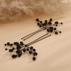 Teyglen 2pcs Crystal Bride Wedding Hair Pins Black Rhinestones Beads Hair Pins Set Bridal Hair Accessories Crystal Rhinestone Hair Pieces Halloween Headpiece for Women(Black) view 3