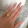 BASIC B Press-On Nails by Lavaa Beauty | Medium Almond | Nude Pink Matte Almond Nails view 2