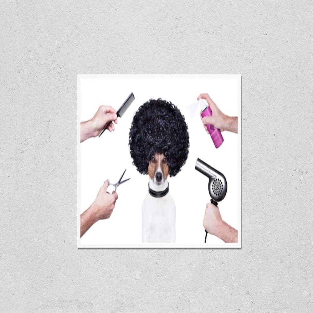 Wall Art Poster Print of Hairdresser Scissors Comb Dog Hairdryer Hairspray