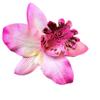 12PCS Bohemian Flower Hairpin Colourful Hawaiian Flowers Orchid Flower Crocodile Hair Clips for Lady Women Girls Bridal Wedding Party Beach Hair Style Accessories view 3