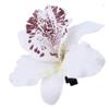 12PCS Bohemian Flower Hairpin Colourful Hawaiian Flowers Orchid Flower Crocodile Hair Clips for Lady Women Girls Bridal Wedding Party Beach Hair Style Accessories view 4