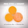 Fresh Citrus Bergamot Shampoo And Conditioner Bar Set with One Extra Conditioner Bar - 100% Vegan Bar Shampoo And Conditioner For Hair Of All Types - Natural Shampoo And Conditioner In Bars. Handmade view 2