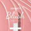 KYDA Liquid Blush, Matte Tinted for Cheeks, Lasting Dewy Finish, High Pigment Soft Creamy Blush, Blendable Lightweight Cover-Nude Pink view 2