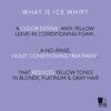 Watercolors Ice Whip Anti-Yellow Leave-In Conditioning Foam Mousse for Blonde, Platinum, Bleached, Silver, Gray, Ash & Brassy Hair - Violet Purple 6.5 oz (3 PACK) view 2