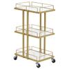 BarberPub Salon Trolley Multi-Functional Salon Cart with 3 Layers Shelves Rolling Cart Manicure Beauty Equipment 2061 (White) view 1