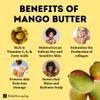 Kyabo 3Lbs MANGO BUTTER PREMIUM Organic Unrefined Raw Virgin 100% Pure Cold Press Grade A Non GMO 100% Natural For Skin BodyCare Beauty Moisturizer DIY For Body Butters, Soap Making,Lotions, Creams view 4