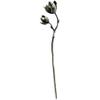 LIBERGA Women's Hair Stick for Long Hair,Silver Plated Hair Chopsticks Flower Branch Shape Hair Accessory Decorative Hairstyle Hairpin for Buns view 1
