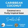 Black Canyon Caribbean Coconut Scented Body Lotion with Lanolin and Jojoba Oil, 12 Oz view 2