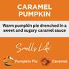 Black Canyon Caramel Pumpkin Scented Body Lotion with Lanolin and Jojoba Oil, 12 Oz view 2
