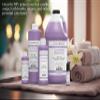 30ml. Lavender Roll-on Perfume/Skin Body Fragrance Oil. Our Interpretation, Pure-Uncut. Add a Few Drops to Your Aromatherapy Diffuser. Smell Good All Day, Any Day! view 4