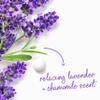 Dove Body Wash with Pump Relaxing Lavender Oil & Chamomile 3 Count for Renewed, Healthy-Looking Skin Gentle Skin Cleanser with 24hr Renewing MicroMoisture 30.6 oz view 4