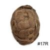 Hair Piece for Men Toupee Human Hair Replacement System Swiss Lace Front Toupee for Men Poly Skin Behind Hairpiece Natural Bang 8x10 inch 17R# BROWN/BLONDE MIX WARM TONE 120% density view 2