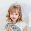 2pcs Bridal Crown Headband Bridal Crown Tiara Rhinestone Headband Crystal Rhinestone Tiara view 2