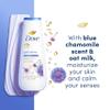 Dove Body Wash Anti-Stress Blue Chamomile & Oat Milk 4 Count for Renewed, Healthy-Looking Skin Moisturizing Gentle Skin Cleanser with 24hr Renewing MicroMoisture 20 oz view 3