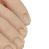 Fake Foot Model, Silicone Practice Foot, Nail Practice Training Foot Half Foot Mannequin, Fake Training Foot, Flexible Movable Soft Silicone Fake Foot Tool for Nails Training Display (Left) view 4