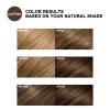 GURKOOYD Hair Color Shampoo for Gray Hair, 3 in 1 Natural Dye for Women & Men, Long Lasting Coffee for Darkening 500mL(Coffee) view 2