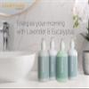 39 North Shampoo - Eucalyptus & Lavender Scent - Featured in Courtyard by Marriott and Residence Inn Hotels - Cleansing & Moisturizing - All Natural Shampoo - 8.5oz view 4