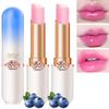 BINGBRUSH 2 Pcs Blueberry Color Changing Lipstick Queen,PH Mood Long Lasting Labiales Lip Gloss Lip Balm Tinted Magic Lip Stain Makeup Lipstick Set for Women view 1