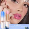 BINGBRUSH 2 Pcs Blueberry Color Changing Lipstick Queen,PH Mood Long Lasting Labiales Lip Gloss Lip Balm Tinted Magic Lip Stain Makeup Lipstick Set for Women view 2