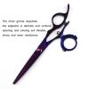 Hair Cutting Scissors, 6.0inchs Rotate 720 Handed Professional Straight Teeth Scissors Thinning Shears Kit ( Color : Set ) view 3